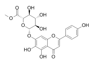 Scutellarin methylester 灯盏花乙素甲酯 CAS:119262-68-9