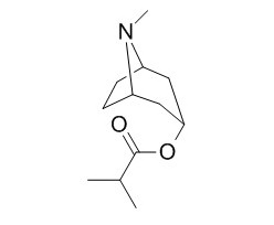 Tropine isobutyrate 托品醇异丁酯 CAS:495-80-七