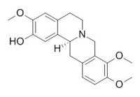 (-)-Isocorypalmine 四氢非洲防己碱(S型) CAS:483-34-1