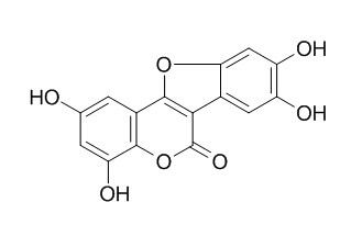 Isodemethylwedelolacton 异去甲蟛蜞菊内酯 CAS:350681-33-3