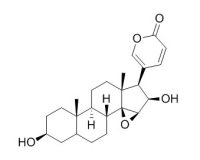 Deacetylcinobufagin 去乙酰华蟾毒精 CAS:4026-95-3