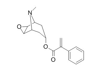 Apohyoscine 东茛菪碱 CAS:535-26-2