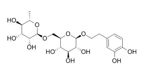 Forsythoside E 连翘酯苷E,CAS:93675-88-8