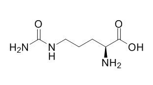 L-Citruline 瓜氨酸 CAS:372-75-8