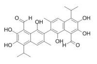 Gossypol 棉酚 CAS:303-45-7