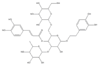 松果菊苷82854-37-3进口