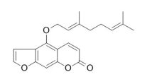 Bergamotine 佛手柑素 CAS:7380-40-7