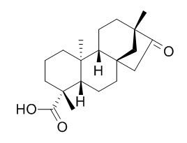 Isosteviol 异甜菊醇,异斯特维醇,27975-19-5