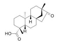 Isosteviol 异甜菊醇,异斯特维醇,27975-19-5