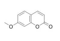 7-Methoxycoumarin 甲氧基香豆素 CAS:531-59-9