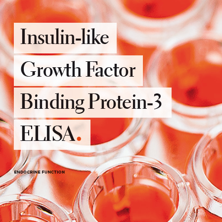 Insulin-like Growth Factor Binding Protein-3(IGFBP-3) ELISA