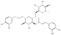 连翘酯苷A79916-77-1规格