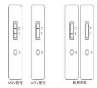 非洲猪瘟病毒抗原胶体金测试卡说明书