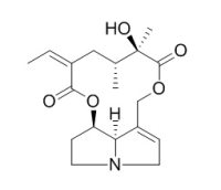 Senecionine 千里光宁 CAS:130-01-8