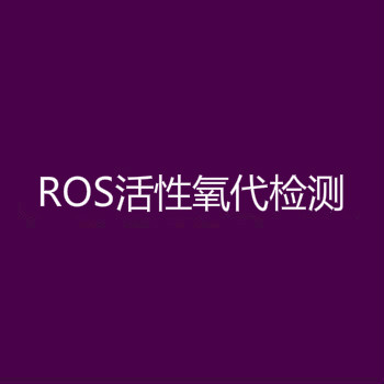 ROS活性氧检测