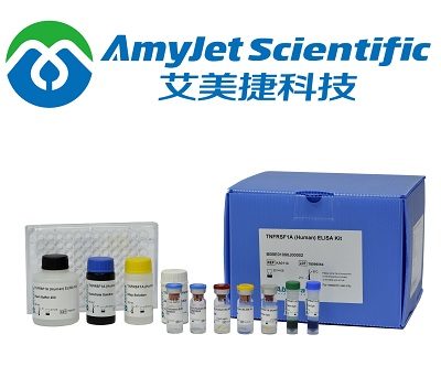 Abnova中国代理艾美捷提供Abnova抗体、重组蛋白、抗体对等产品