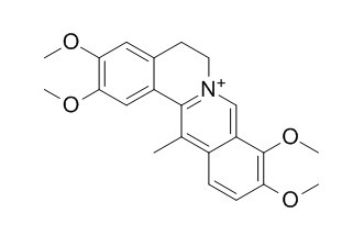 Dehydrocorydalin 脱氢紫堇碱,去氢紫堇碱,CAS:30045-16-0