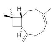 trans-Caryophyllene β-石竹烯C A S号： 87-44-5