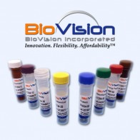 Biovision中国区域代理艾美捷|乳糖检测分析试剂盒