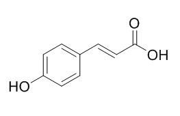 p-Hydroxy-cinnamic acid 对羟基肉桂酸 CAS:7400-08-0