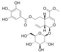 Cornuside 山茱萸新苷 CAS:131189-57-6