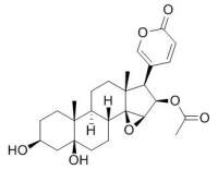 Cinobufotalin 华蟾毒它灵 CAS:1108-68-5