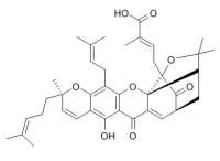 Gambogic acid 藤黄酸标准品 CAS:2752-65-0