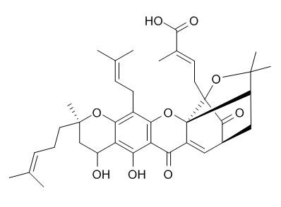 Neogambogic acid 新藤黄酸 CAS:93772-31-7