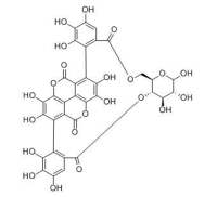 Punicalin 石榴皮鞣素 CAS:65995-64-4