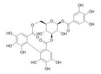 Corilagin 柯里拉京 CAS:23094-69-1