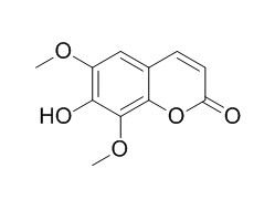 Isofraxidin 异嗪皮啶,CAS:486-21-5