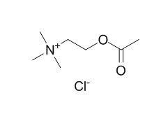 Acetylcholine chloride 氯化酰胆碱CAS：60-31-1