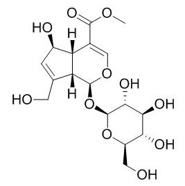 Feretoside 鸡矢藤次苷甲酯 CAS:27530-67-2