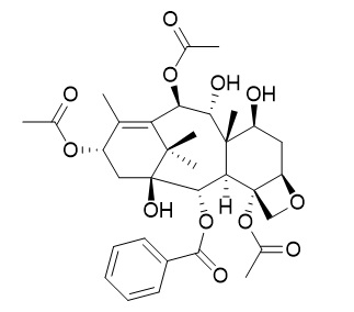 9-Dihydro-13-acetylbaccatin III  13-乙酰基-9-羟基巴卡丁III CAS:142203-65-4