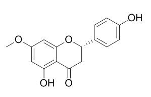 Sakuranetin 樱花亭 CAS:2957-21-3