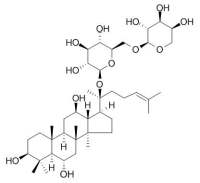 Ginsenoside F3 人参皂苷F3 CAS: 62025-50-7