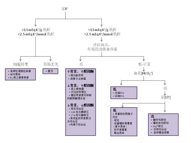 选择性尿液化学物质在肾脏疾病诊断中的应用 1 丁香园