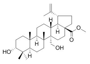 3,27-Dihydroxy-20(29)-lupen-28-oic acid methyl ester 3,27-二羟基-20(29)-流明-28-酸甲酯 CAS:263844-79-7