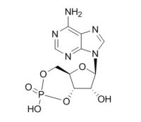 Adenosine cyclophosphate 环磷腺苷CAS:60-92-4