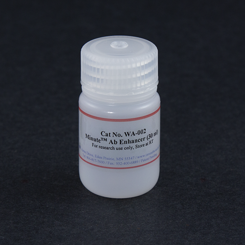 Minute(TM) 抗体增强剂