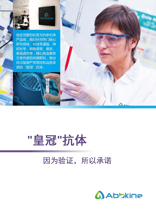 Abbkine 皇冠抗体