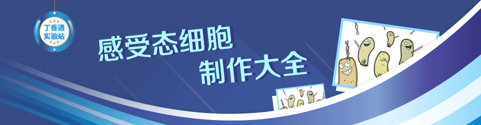 感受态细胞
