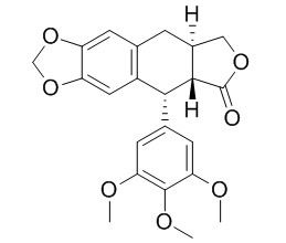 Deoxypodophyllotoxin 去氧鬼臼毒素CAS：19186-35-7