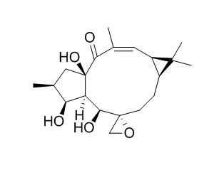 Epoxylathyrol 环氧续随子醇 CAS:28649-60-7