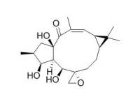 Epoxylathyrol 环氧续随子醇 CAS:28649-60-7