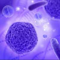 过表达腺相关病毒AAV包装