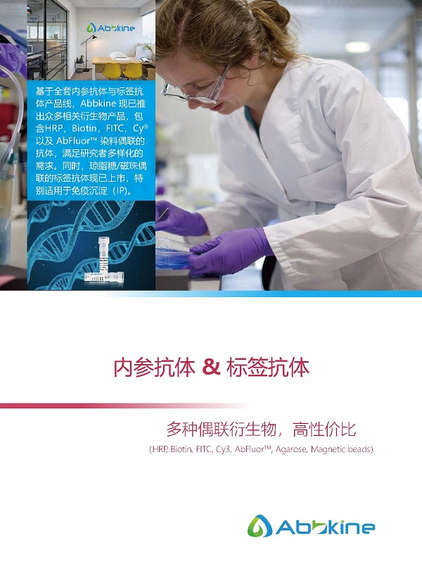 Abbkine标签抗体&内参抗体