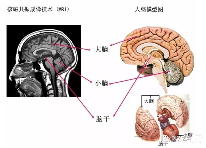3346494092372162267-8w.png