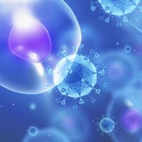 悬浮细胞专用慢病毒