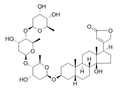 Digitoxin 洋DI黄毒甙 CAS:71-63-6